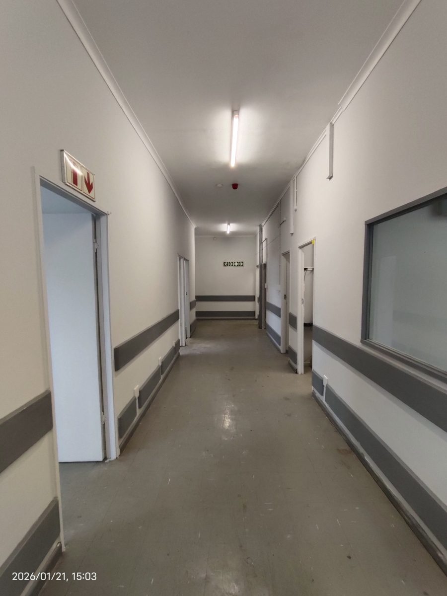 To Let commercial Property for Rent in Rondebosch Western Cape